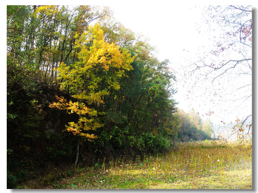 201111112 071.jpg