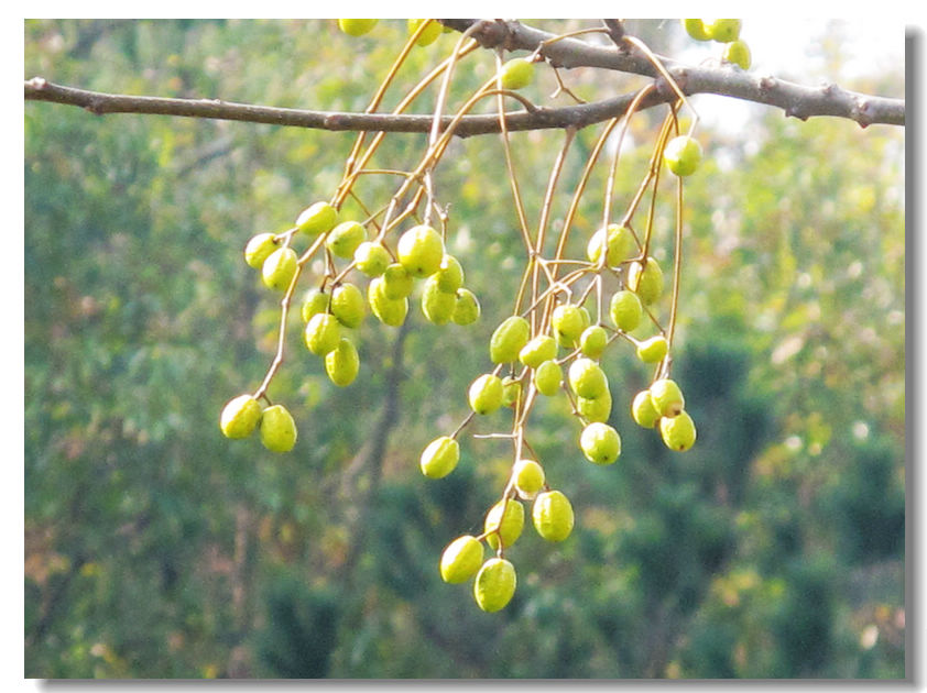201111112 083.jpg