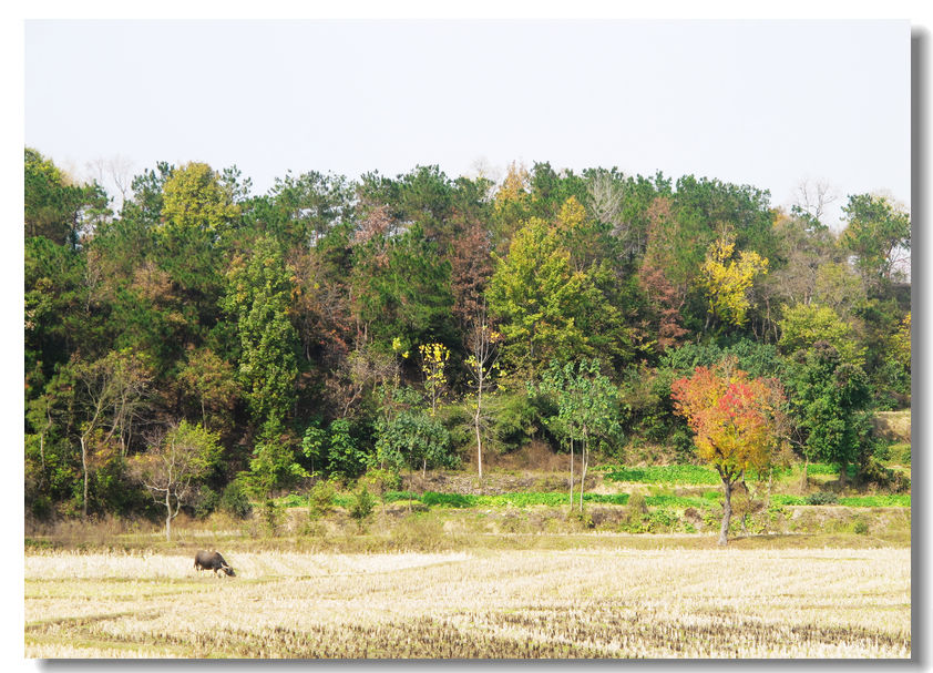 201111112 087.jpg
