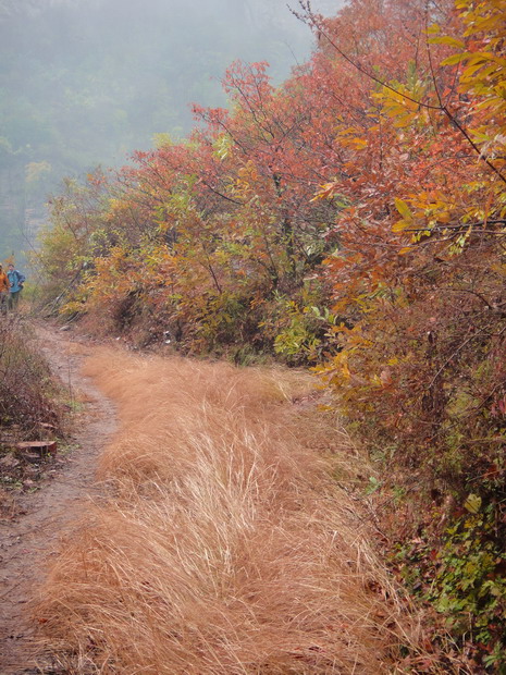 dsc08005.jpg