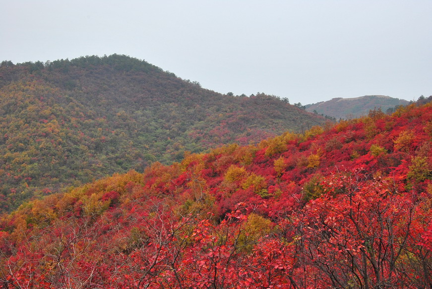 dsc_0357.jpg