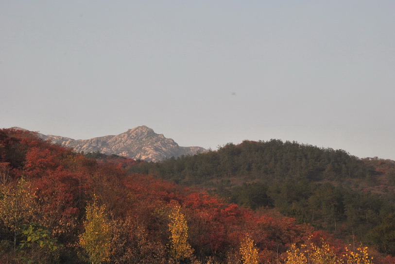 dsc_0219.jpg