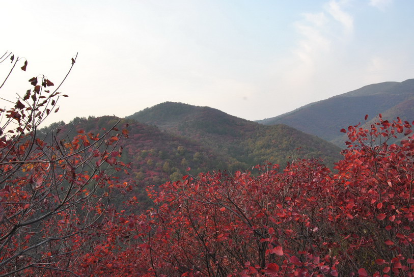 dsc_0250.jpg
