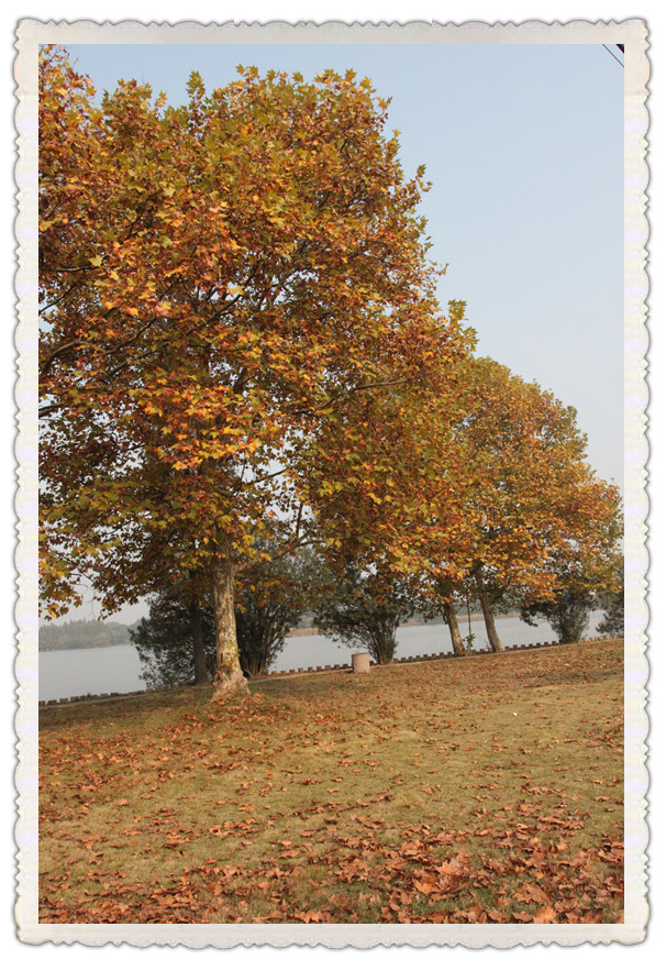 11.13.01.jpg