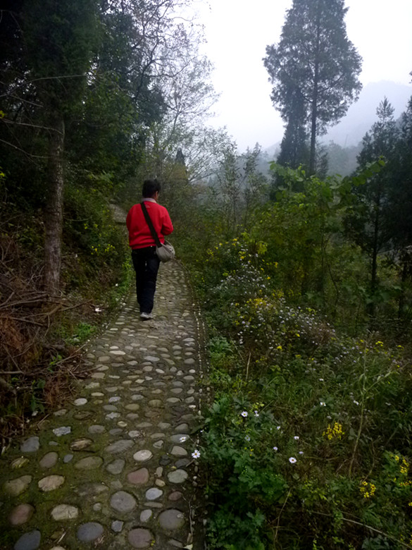 p1090389_.jpg