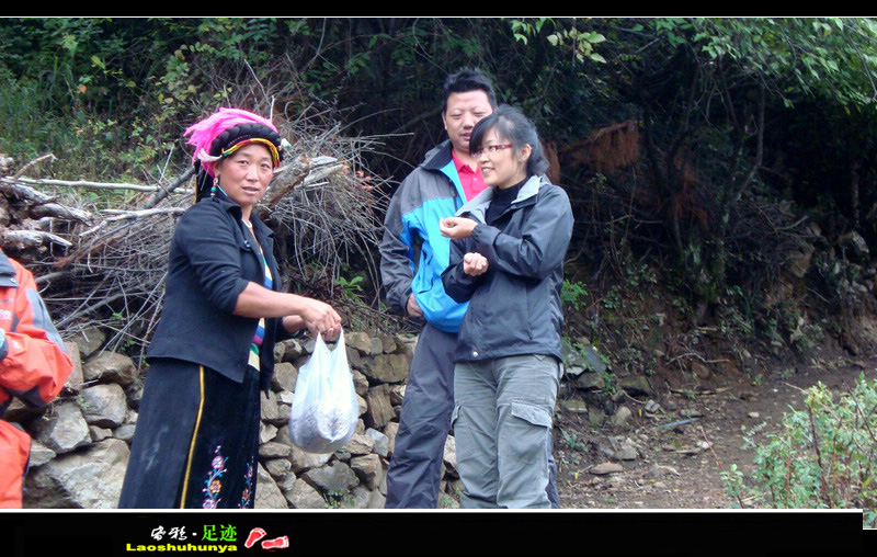 dsc07595.jpg