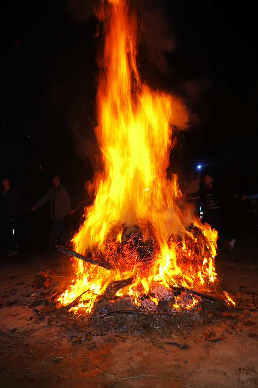 imgp8655.jpg