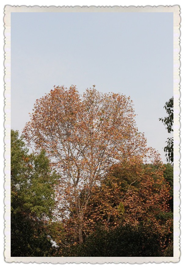 11.13.02.jpg