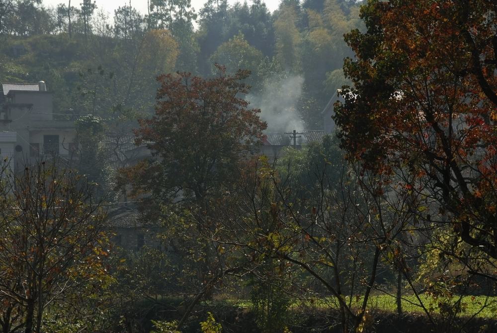 dsc_0006.jpg