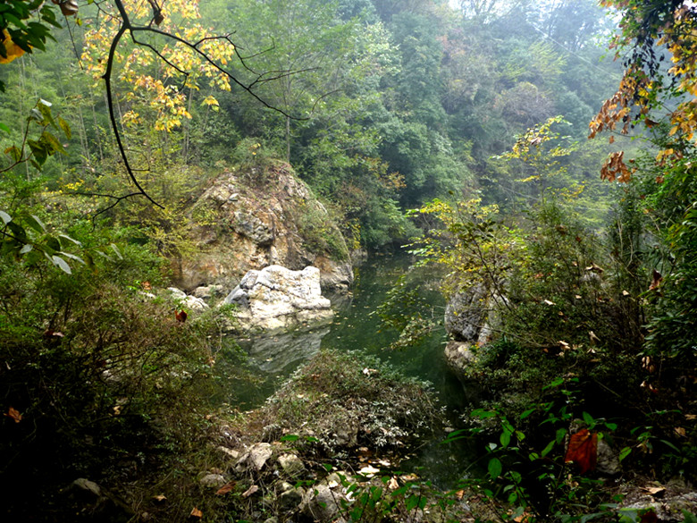 p1090425_.jpg