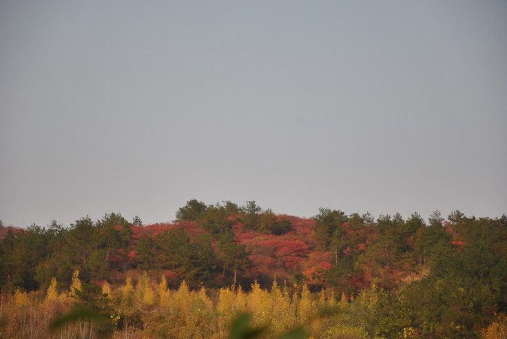 dsc_0199_С.jpg