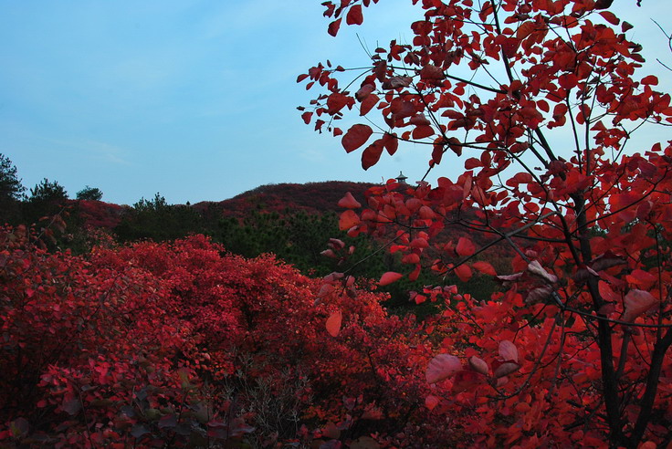 dsc_0304_С.jpg
