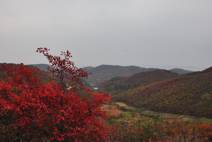 dsc_0356_С.jpg