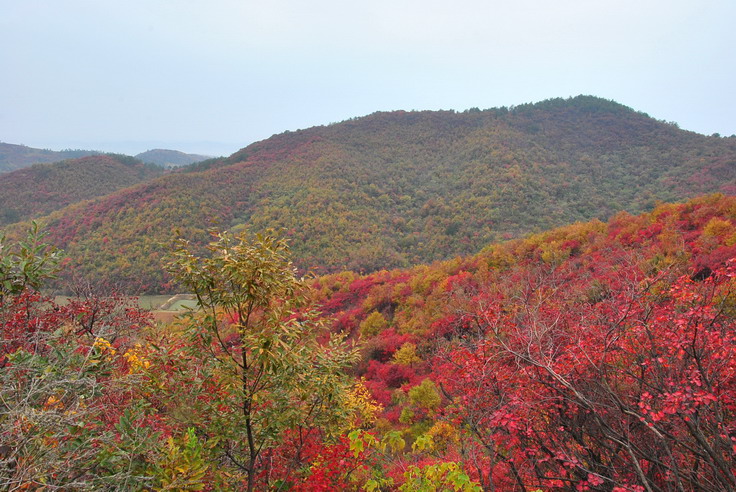 dsc_0358_С.jpg