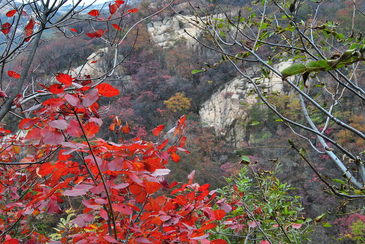 dsc_0453_С.jpg
