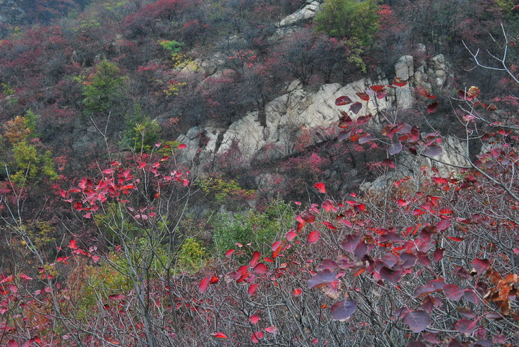 dsc_0466_С.jpg
