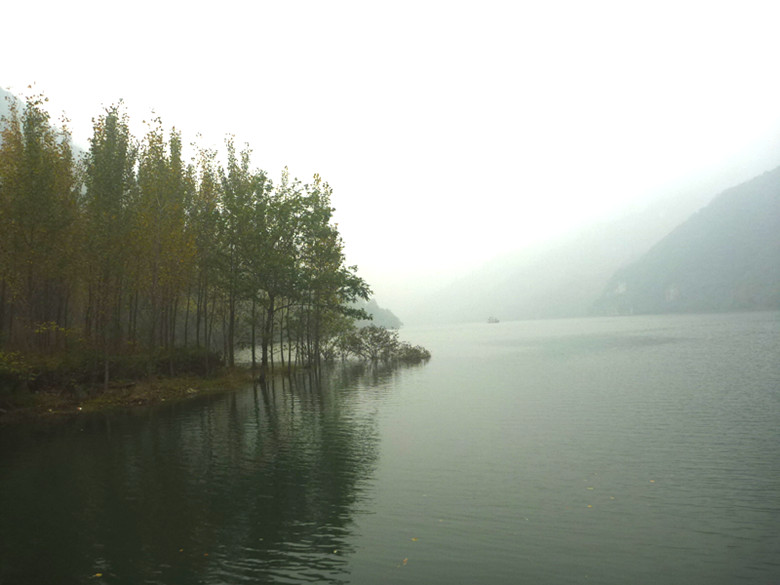 p1090450_.jpg