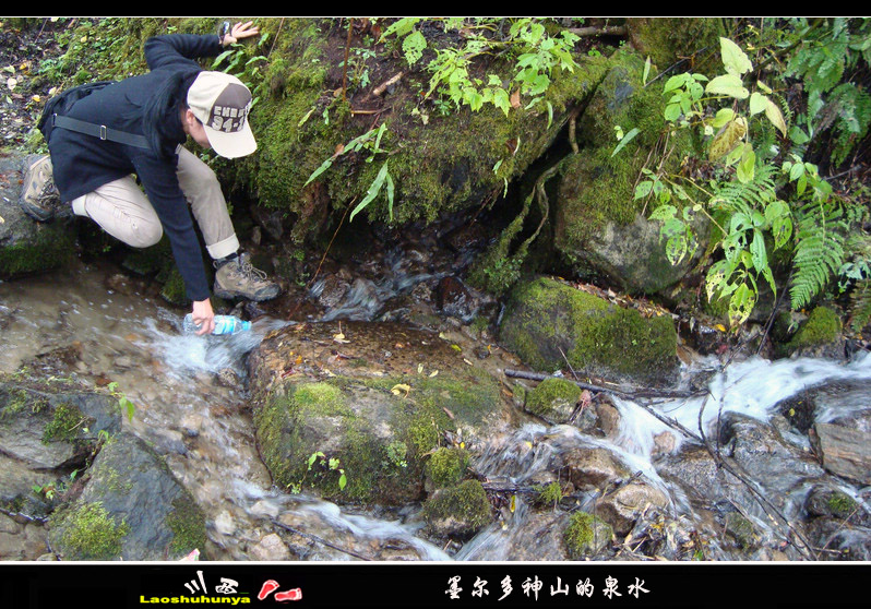 dsc07686.jpg