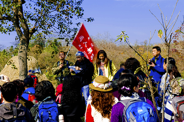 _dsc8038_1a.jpg