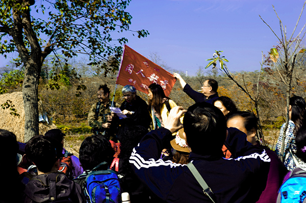 _dsc8039_1a.jpg
