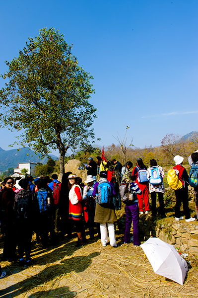 _dsc8043a.jpg