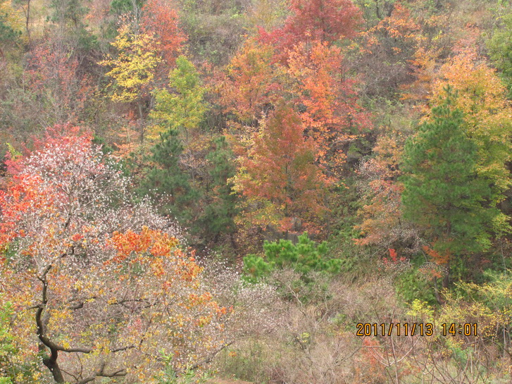 img_4924.jpg