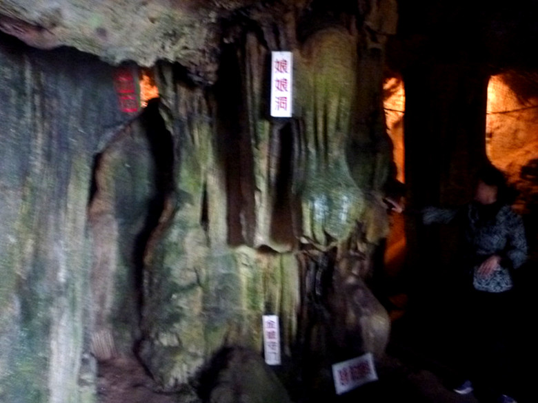 p1090502_.jpg