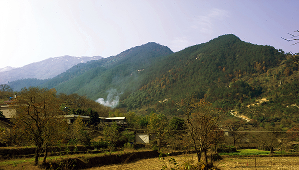 _dsc8070_1a.jpg
