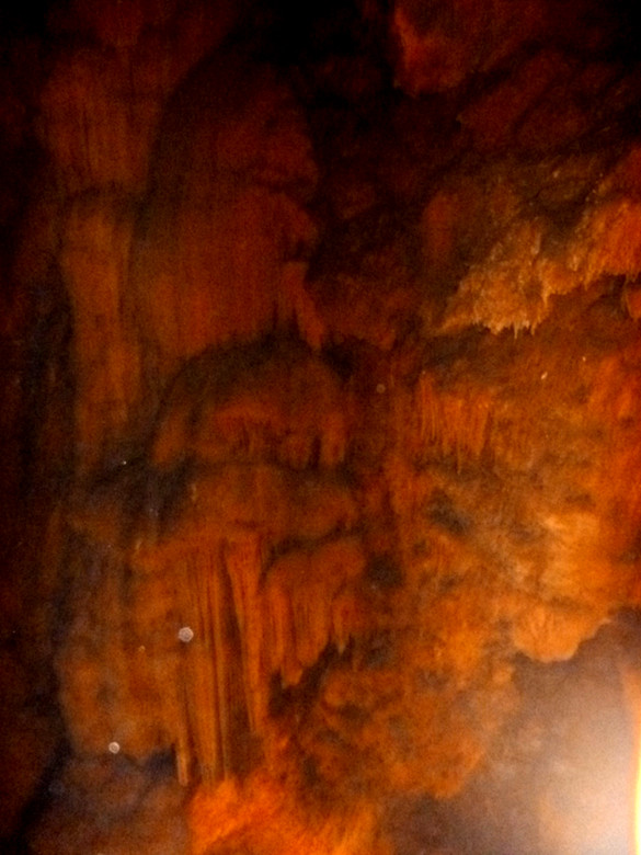 p1090494_.jpg