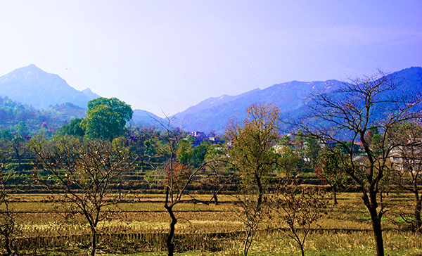 _dsc8055a.jpg