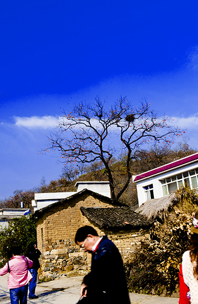 _dsc8057a.jpg