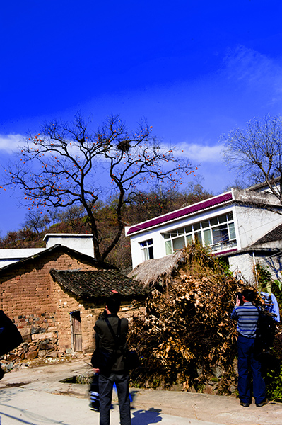 _dsc8058a.jpg