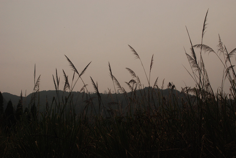 06.jpg