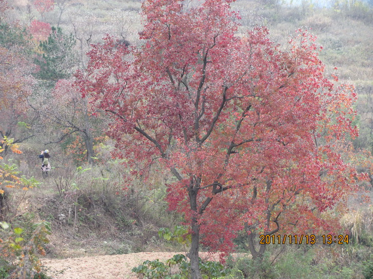 img_4876.jpg