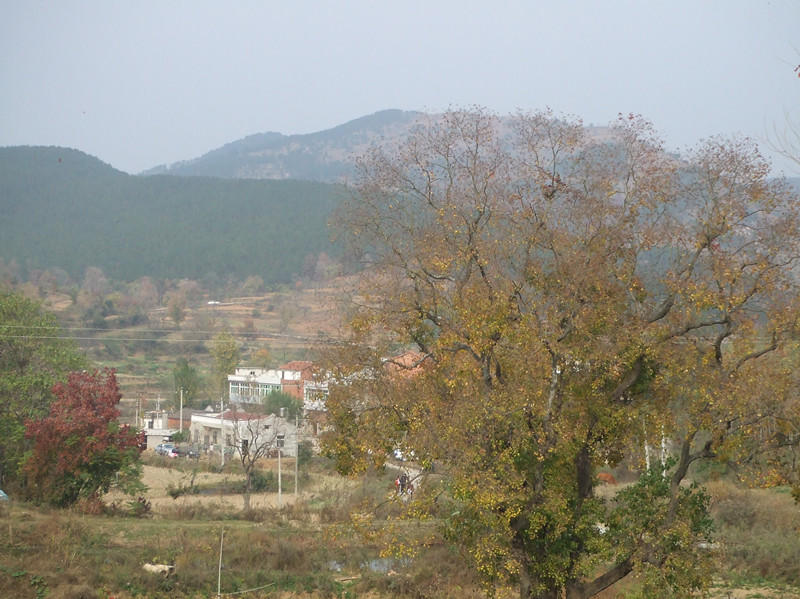 dscf0172_.jpg
