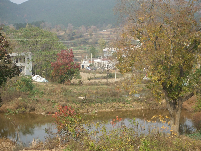 dscf0171_.jpg