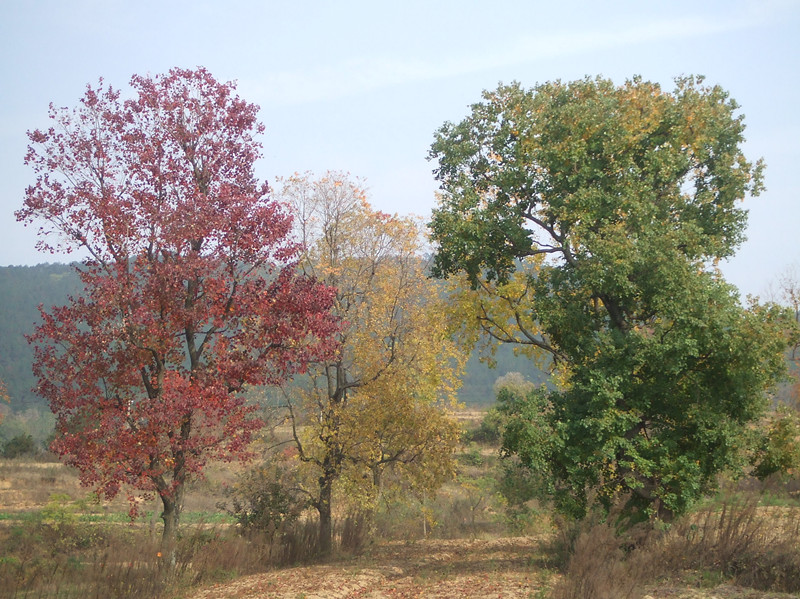 dscf0191_.jpg