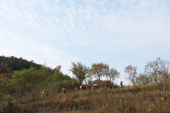 img_3622.jpg