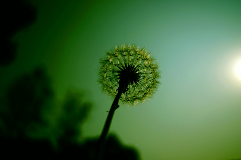 dsc00742_.jpg