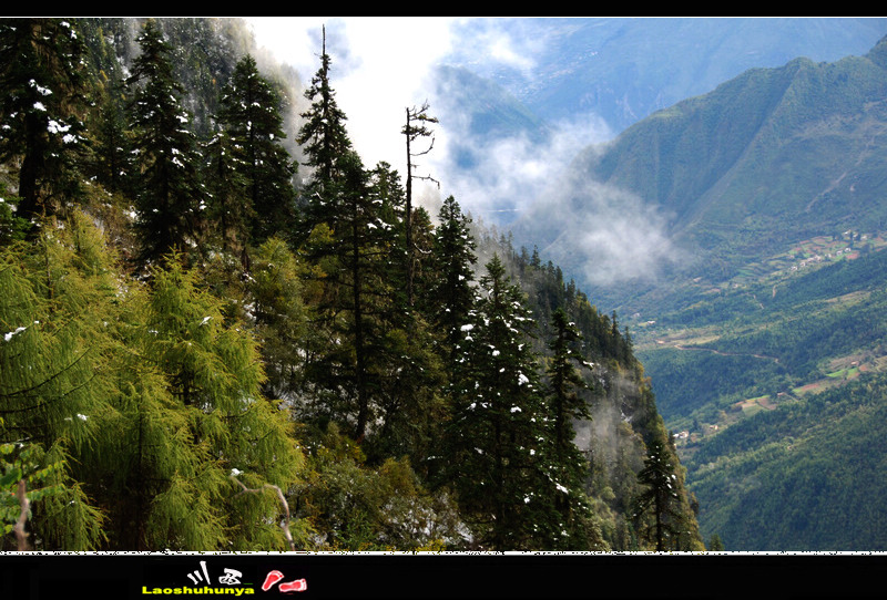 dsc_0142.jpg