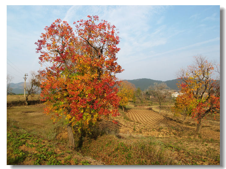 201111112 098.jpg
