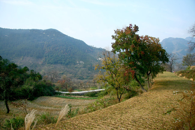 img_8472xg2.jpg