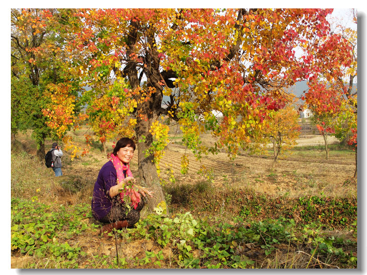 201111112 105.jpg