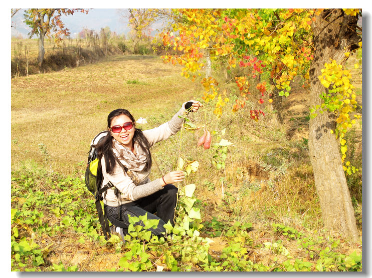 201111112 109.jpg