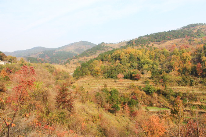 img_3776.jpg
