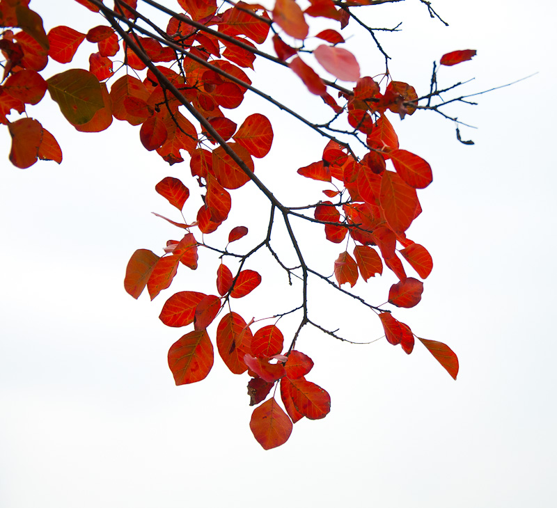 dsc_0124-1.jpg