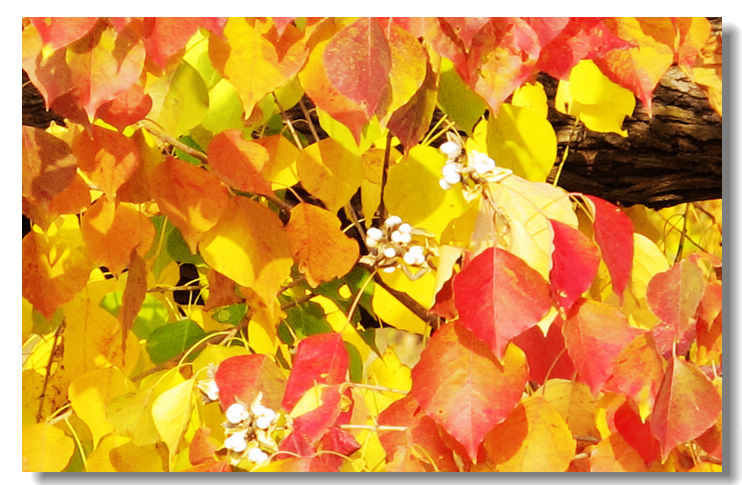 201111112 111.jpg
