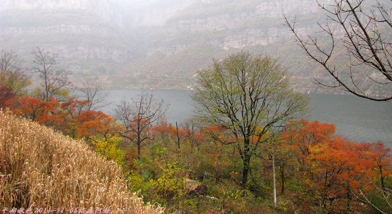 2011ʯҴϿ 2084-1.jpg