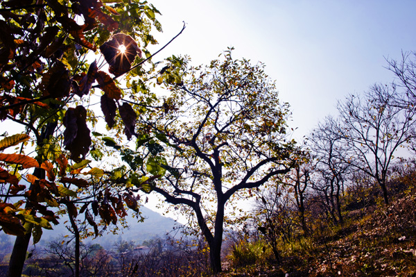 _dsc8093a.jpg