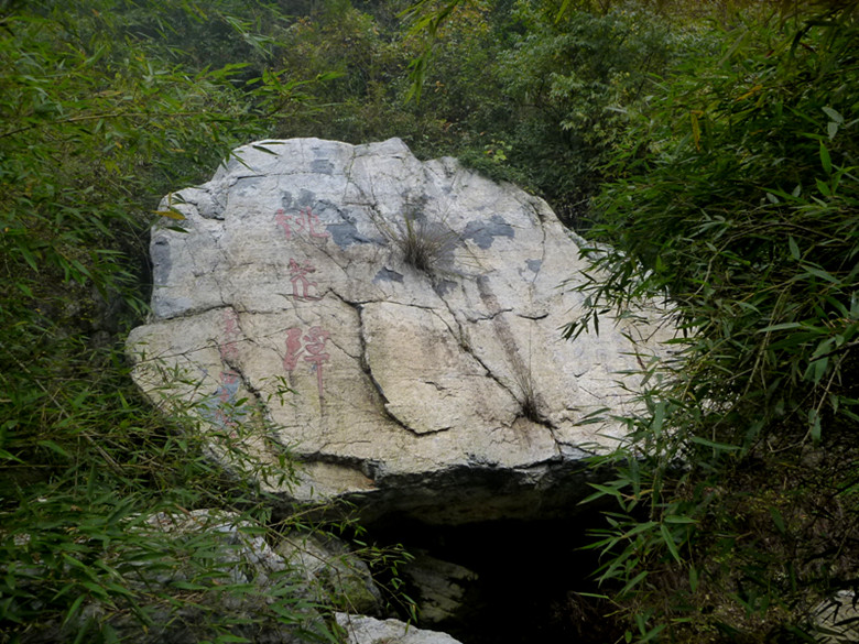 p1090412_.jpg